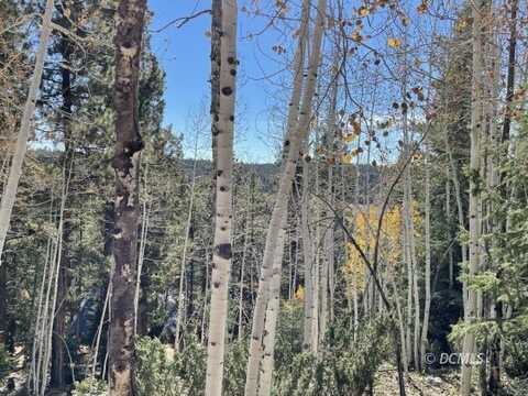 1435 E Airplane Dr, Duck Creek Village, UT 84762