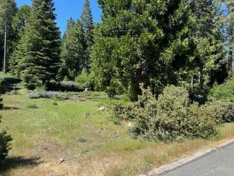 40902 Wild Iris Ln Lane, Shaver Lake, CA 93664