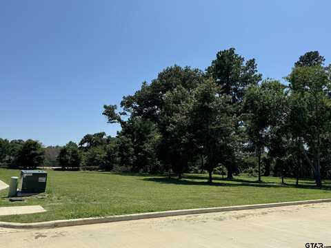 305 White-N-Gail Ln, Bullard, TX 75757