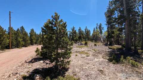 37 Shasta Way, Red Feather Lakes, CO 80545