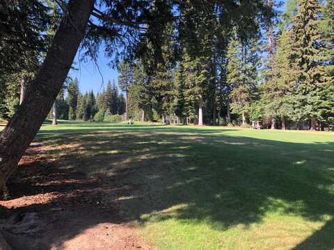 1380 Birdie Boulevard, McCall, ID 83638