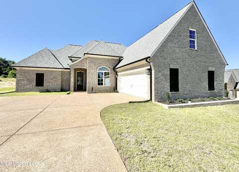 5046 Watson View Drive, Nesbit, MS 38651