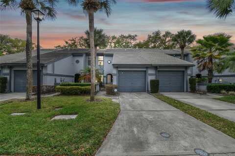 4239 BRENTWOOD PARK CIRCLE, TAMPA, FL 33624