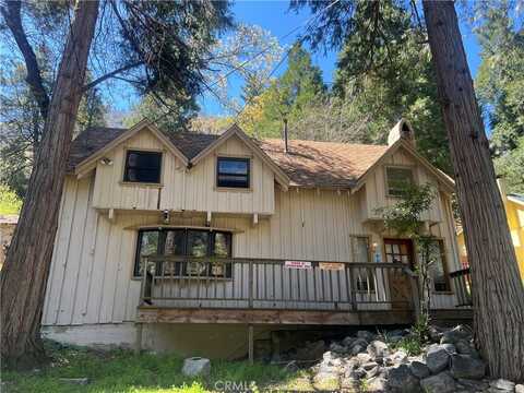 39533 Canyon Drive, Forest Falls, CA 92339