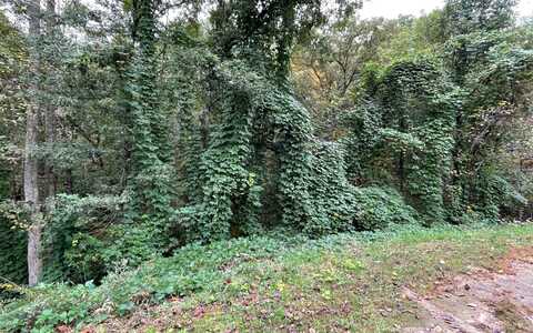 Lot 9 Rustic Ridge, Young Harris, GA 30582