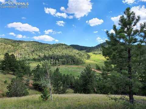 770 Copper Mountain Drive, Cripple Creek, CO 80813