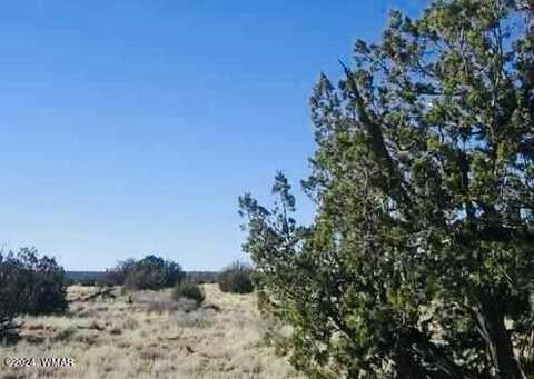 tbd Chevelon Canyon Ranch, Heber, AZ 85928