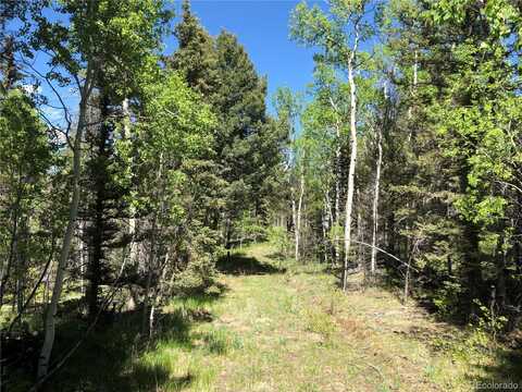 77 Timberline Court, Guffey, CO 80820