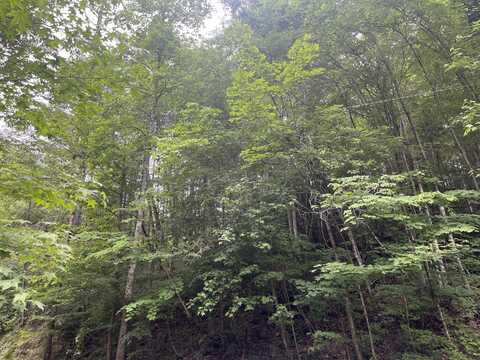 Lot 20 N Clear Fork Road, Sevierville, TN 37876