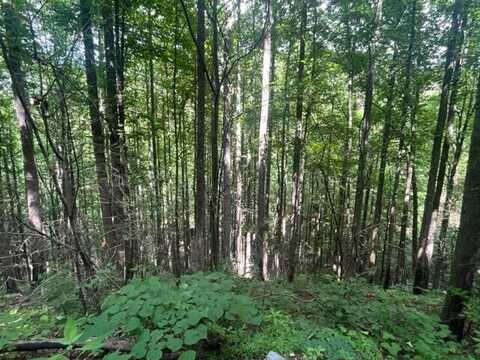 Lot 15 Sugar Maple Loop Rd, Sevierville, TN 37876