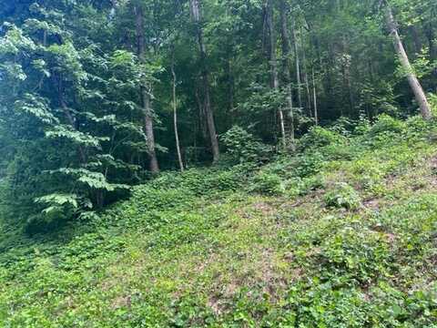 Lot 35 Black Walnut Flats Rd, Sevierville, TN 37876