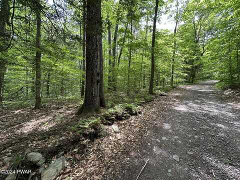 Minkler Mountain Rd, Equinunk, PA 18417