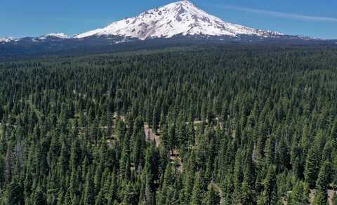 4-G-5 Shasta Circle, McCloud, CA 96057