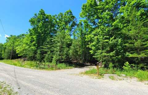 Lot 253 Flat Top View, WILDER, TN 38589