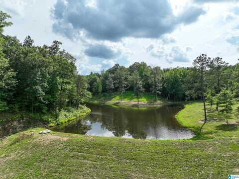 6497 COUNTY ROAD 86, CALERA, AL 35040