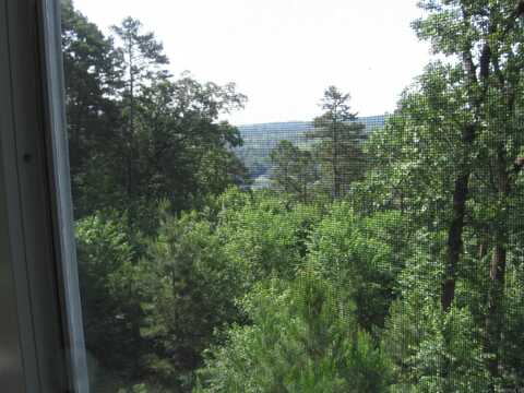 5 SUR LANE, Hot Springs Village, AR 71909