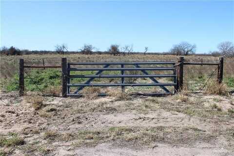 Tbd Us-281, Encino, TX 78353
