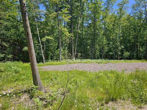 Lot #1 E Pinecrest, Gladwin, MI 48624