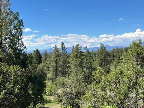 1777 Hersch Avenue, Pagosa Springs, CO 81147