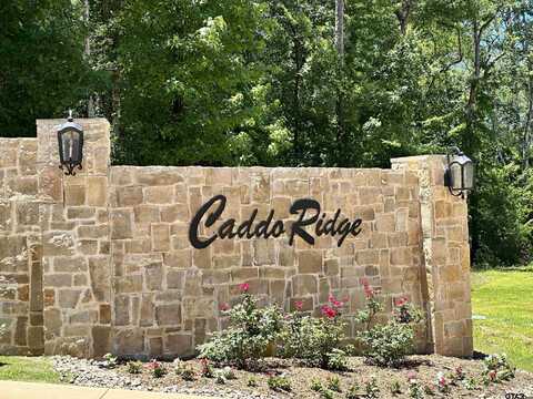 9283 Caddo Ridge Cove, Tyler, TX 75703