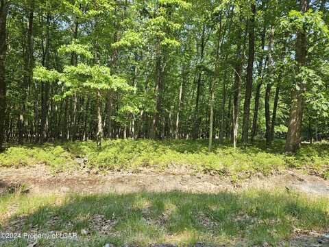 LV Lot 125 Elderberry Lane, Hazle Twp, PA 18202