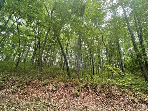 Lot 133 Leafy Knoll Circle, Glenville, NC 28736