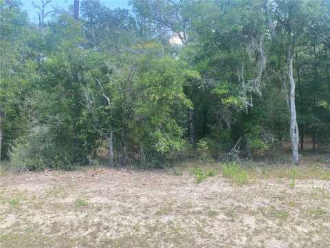 10715 W DUBLIN STREET, CRYSTAL RIVER, FL 34428