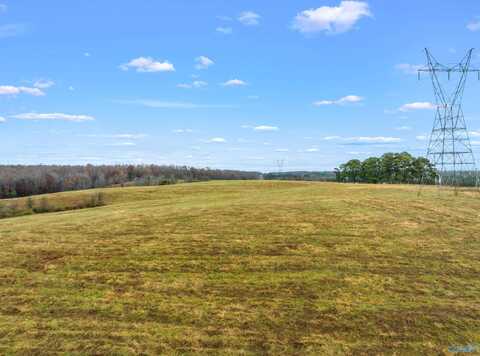 24 Ac Cranford Road, Arab, AL 35016