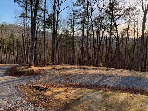 673 Willard Mountain Road, Ellijay, GA 30513