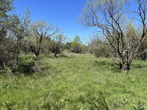 Tbd County Road 434, Cross Plains, TX 76443