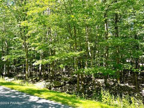 Lot 594 Hemlock Path, Lake Ariel, PA 18436