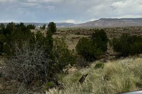 Lot 19 Mesas De La Joya, Abiquiu, NM 87510