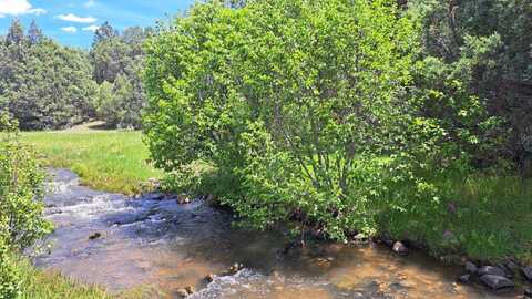 Southeast Mesa Tract & Cecil Cox Tract, Tierra Amarilla, NM 87575