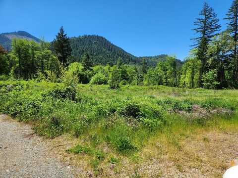 1549 Placer Road, Wolf Creek, OR 97497