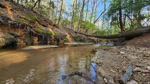 0 Independence Ct. Court, Roebuck, SC 29376