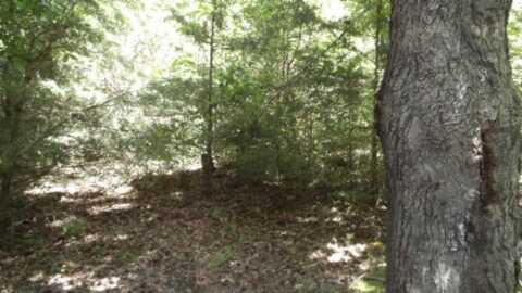 6.90ac Zion Hill Rd, COOKEVILLE, TN 38506
