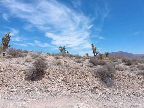 Lot 48 W Coral Tree Drive, Meadview, AZ 86444