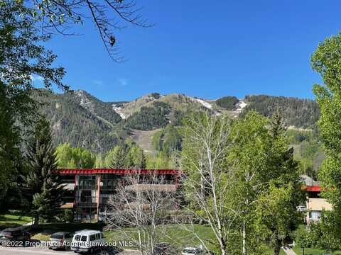 335 Vine Street, Aspen, CO 81611