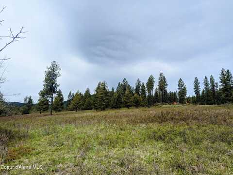 Nka Little Carpenter Creek Rd, Fernwood, ID 83830