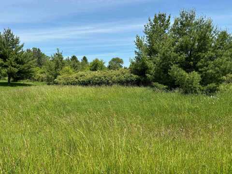 Lot 176 Winchester, Gladwin, MI 48624