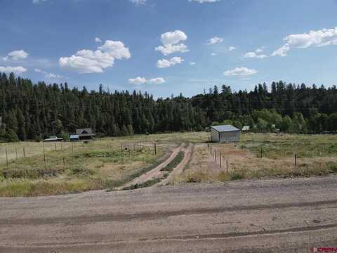 5280 County Road 335, Pagosa Springs, CO 81147