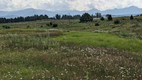 X Tierra Del Oro Drive, Pagosa Springs, CO 81147