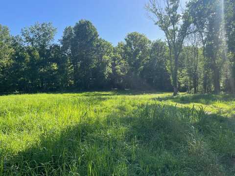 Lot 4 Main, Medina, TN 38355