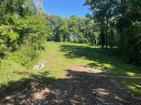 Lot 3 Main, Medina, TN 38355