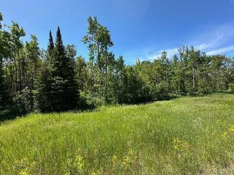 240 Acres W M-48, Pickford, MI 49774