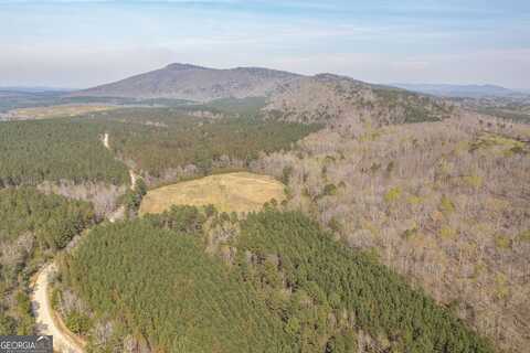 25 ACRES County Road 80, Cedar Bluff, AL 35959