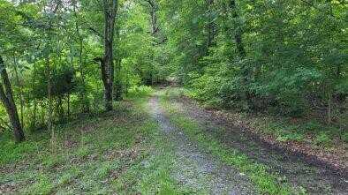 3028 Riley Hollow Road, Cadiz, KY 42211