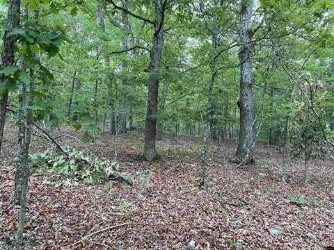 01 WINGATE RIDGE, Yellville, AR 72687