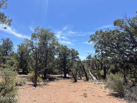 1021,1022 Duffis Bluff, Seligman, AZ 86337