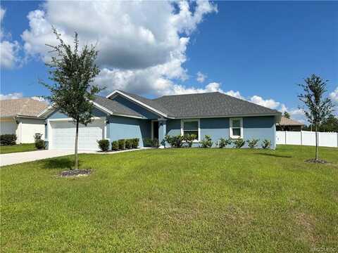 729 W Walkertown Drive, Citrus Springs, FL 34434